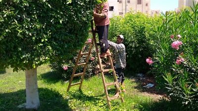 حدائق وشواطئ الدقهلية تتزين لاستقبال أعياد الربيع