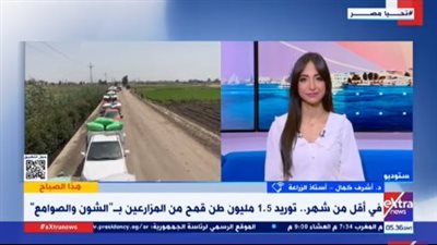 خبير زراعي يوضح أسباب ارتفاع معدلات توريد القمح