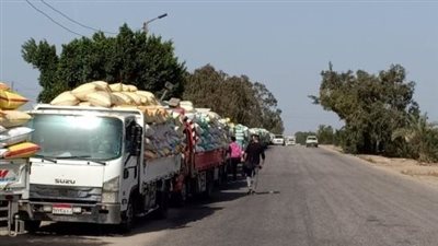 توريد 423015 طن قمح لمواقع التخزين بمراكز ومدن الشرقية