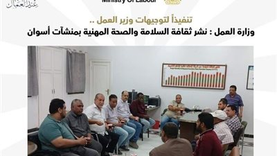 وزارة العمل تنشر ثقافة السلامة والصحة المهنية بمنشآت أسوان 