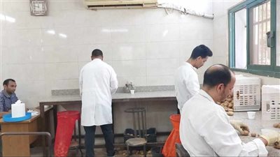 معامل مشروع مكافحة العفن البنى في البطاطس تواصل فحص عينات التصدير