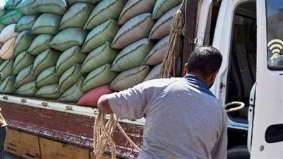 شون وصوامع سوهاج تستقبل 35 ألف طن قمح محلي من المزارعين 