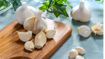 فوائد مذهلة من تناول فص ثوم يوميا 