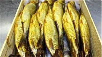 ضبط نصف طن رنجة  مجهولة المصدر فى طنطا