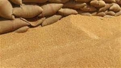 توريد 38 ألف و220 طن قمح منذ بدء الموسم لشون وصوامع سوهاج