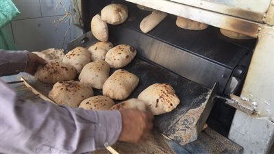 تحرير 61 محضر تموين لمحال ومخابز مخالفة بالإسماعيلية 