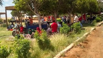 الحدائق والمتنزهات العامة ببنى سويف تستقبل احتفالات المواطنين بعيد شم النسيم