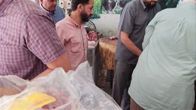 ضبط لحوم وأسماك  فاسدة  بالمنيا