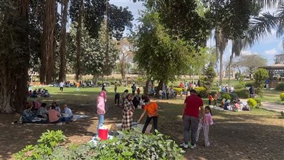 إستمرار توافد المواطنين علي حدائق القناطر الخيرية إحتفالًا بشم النسيم 