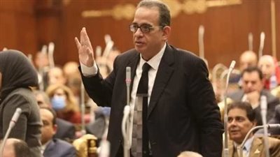 طارق عبد العزيز: موقف القاهرة لإيقاف الحرب على غزة تأكيد للثوابت الوطنية المصرية 