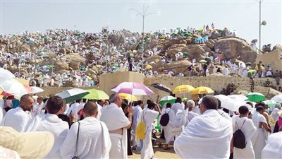 سامية سامى رئيس الإدارة المركزية لشركات السياحة لـ«الوفد»: انتهاء جميع الإجراءات الخاصة بحجز الطوافة بالمشاعر المقدسة