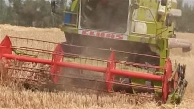 توريد 463 ألف طن قمح لشون وصوامع الشرقية