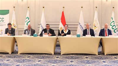 وزيرا البيئة والتنمية المحلية يترأسان جلسة مراجعة مشروع تلوث الهواء بالقاهرة الكبرى 