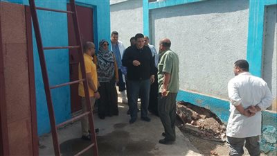 محافظ الدقهلية يشدد على متابعة سير العمل بالمجازر