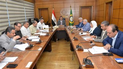 الدقهلية تبحث زيادة الموارد من الإعلانات وكيفية الاستفادة منها 