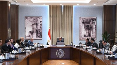 الحكومة: اشتراط تحويل قيمة الوحدة السكنية من الخارج عند تسجيل ملكية أي عقد للأجانب