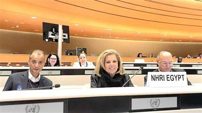 تفاصيل مشاركة «القومي لحقوق الإنسان» في اجتماع المؤسسات الوطنية بالأمم المتحدة