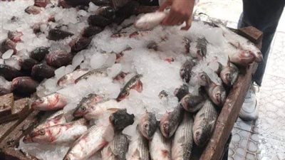 ضبط 4 أطنان أسماك مدخنة ومجمدة ودواجن مخالفة بمراكز الشرقية 