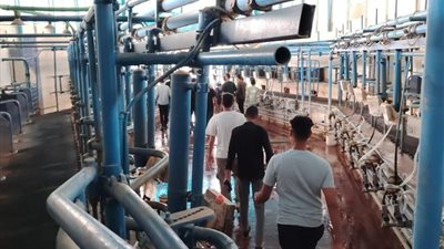 طلاب الفرقة الثالثة بزراعة القناة في زيارة لشركة الصالحية للاستثمار والتنمية الزراعية