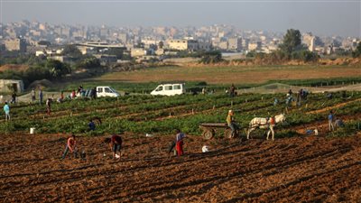 جيش الاحتلال يمنع الزراعة قرب حدود غزة