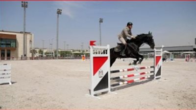  الداخلية تُنظم بطولة الجمهورية للفروسية لقفز الحواجز | صور 