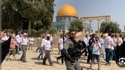 عاجل.. مستعمرون يقتحمون المسجد الأقصى 