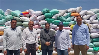 توريد 138 الف و212 طن من القمح لشون وصوامع البحيرة 