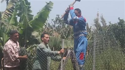  إزالة 4 حالات تعد على أملاك الدولة والأراضي الزراعية بدمياط 