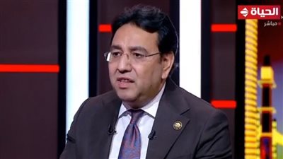 د. أيمن محسب يطالب بقطع العلاقات الاقتصادية والتجارية مع إسرائيل إذا اقتحمت رفح.. فيديو