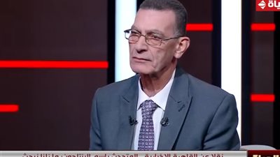 وجدي زين الدين: لو تخلت مصر عن فلسطين لضاعت مثل الأندلس (فيديو)