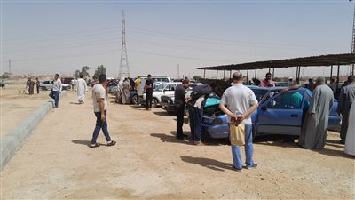 محافظ بني سويف يتابع ساحة انتظار سوق السيارات ببياض العرب شرق الني