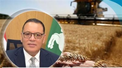 محافظ الشرقية: انتظام توريد القمح للشون والصوامع 