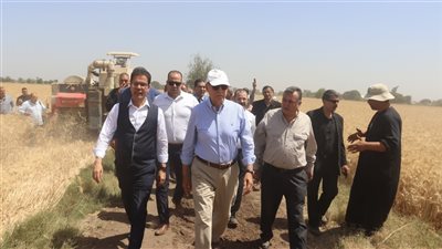 محافظ القليوبية ورئيس جامعة بنها يفتتحان موسم حصاد القمح 