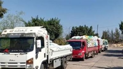 توريد 552 ألف طن قمح لصوامع وشون الشرقية 