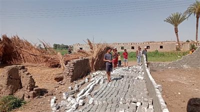 إزالة حالة تعد على الأراضي الزراعية بقرية الفاوية بدشنا 