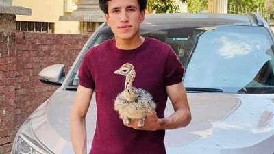 وفاة أصغر مربي نعام في حادث تصادم على طريق بنها الحر 