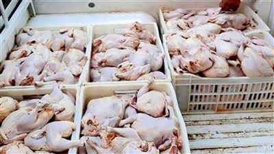 سلامة الغذاء تحذر: 