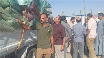 توريد 188 ألف طن قمح بشون وصوامع المنيا