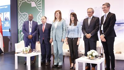 وزير المالية: ضخ مزيد من التدفقات الاستثمارية الخاصة في شرايين الاقتصاد المصري