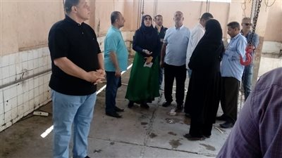 محافظ الدقهلية يكلف بمتابعة سير العمل بمجازر شربين وبلقاس وأجا 