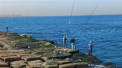 استقرار بطقس الإسكندرية ونشاط بحركة الميناء 