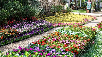 موعد تدشين معرض زهور الربيع 2024  