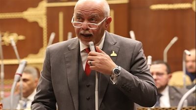 حازم الجندي: دعم مصر لدعوى جنوب أفريقيا ضد إسرائيل استكمالًا لجهودها في الدفاع عن القضية الفلسطينية