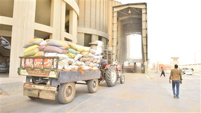 محافظ أسيوط:انتظام توريد الأقماح دون معوقات واستقبال 105 ألف طن حتى اليوم