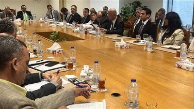 انعقاد اللجنة الدائمة لمُتابعة العلاقات المصرية الأفريقية
