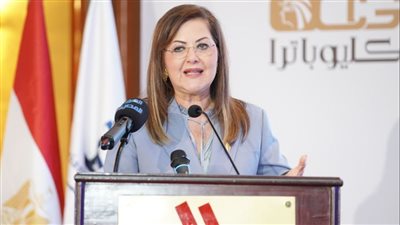 وزيرة التخطيط: ندرس إنشاء صندوق سيادي للصناعة