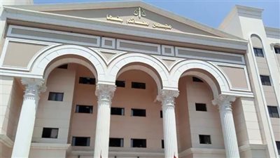 إحالة أوراق المتهم بقتل جاره في القليوبية للمفتي