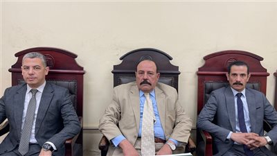 محاكمة 11 شخصاً بتهمة الانضمام لجماعة إرهابية بالإسماعيلية ومدينة الطور  