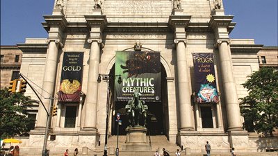 تفاصيل اعتقال أمريكي بتركيا لتهريب عقارب وعناكب 