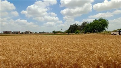 نصائح مهمة من مركز المناخ للمزارعين